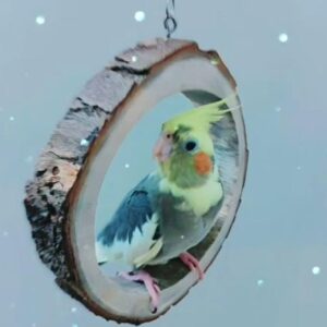 Wooden Chewable Swing