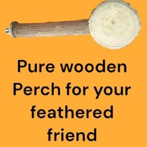 Pure Wooden Perch with Thick Platform