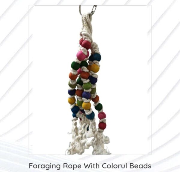 Foraging Rope With Colorful Beads