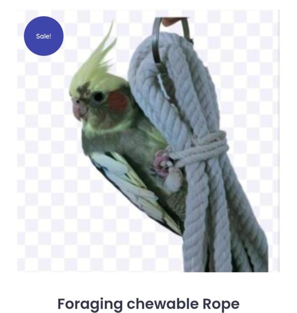 Foraging Chewable Rope