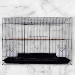 Cage for Bird