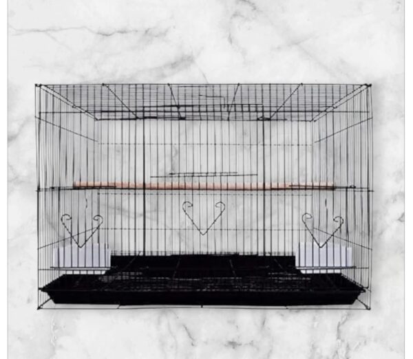 Cage for Bird